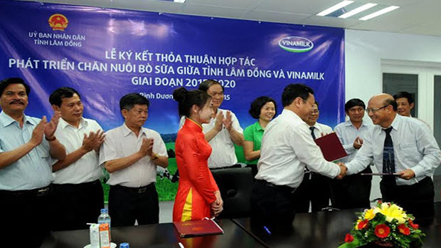 Tỉnh Lâm Đồng hợp tác với Vinamilk phát triển chăn nuôi bò sữa
